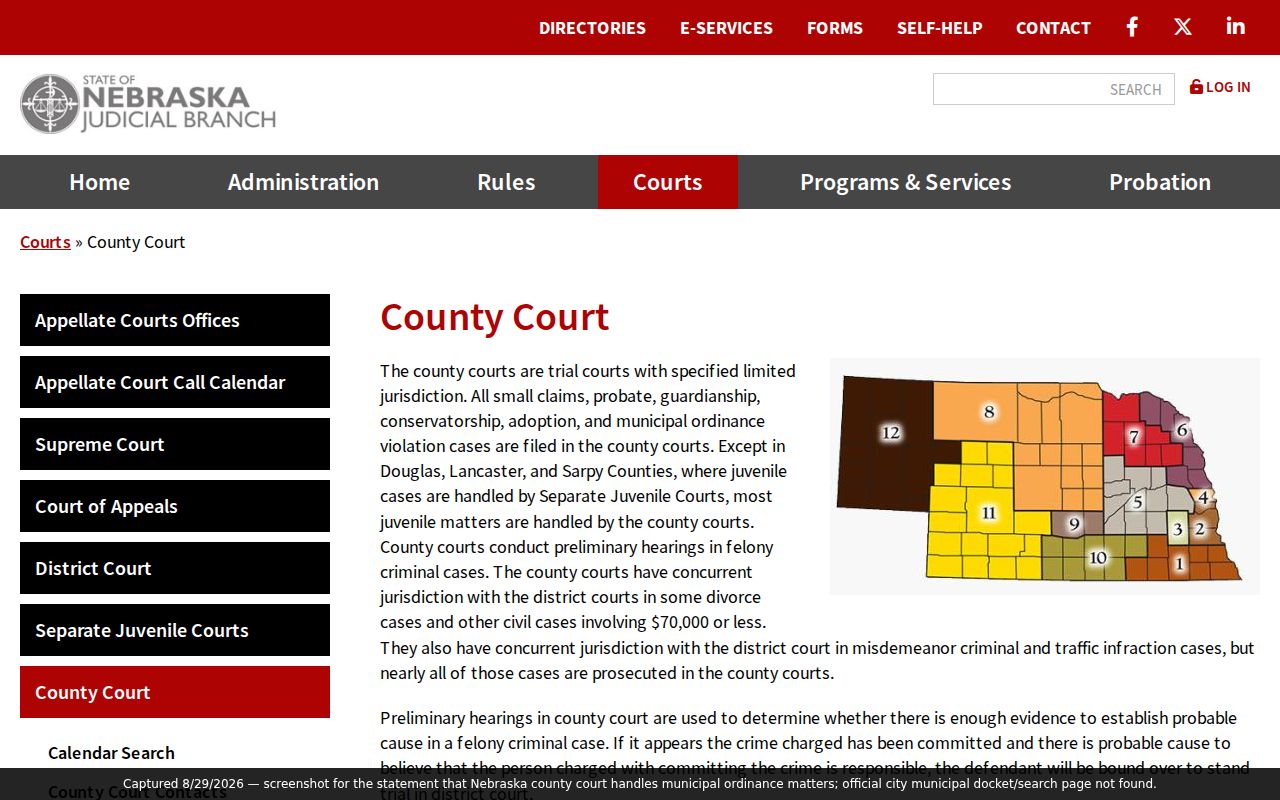 David City court docket Nebraska county court municipal ordinance jurisdiction